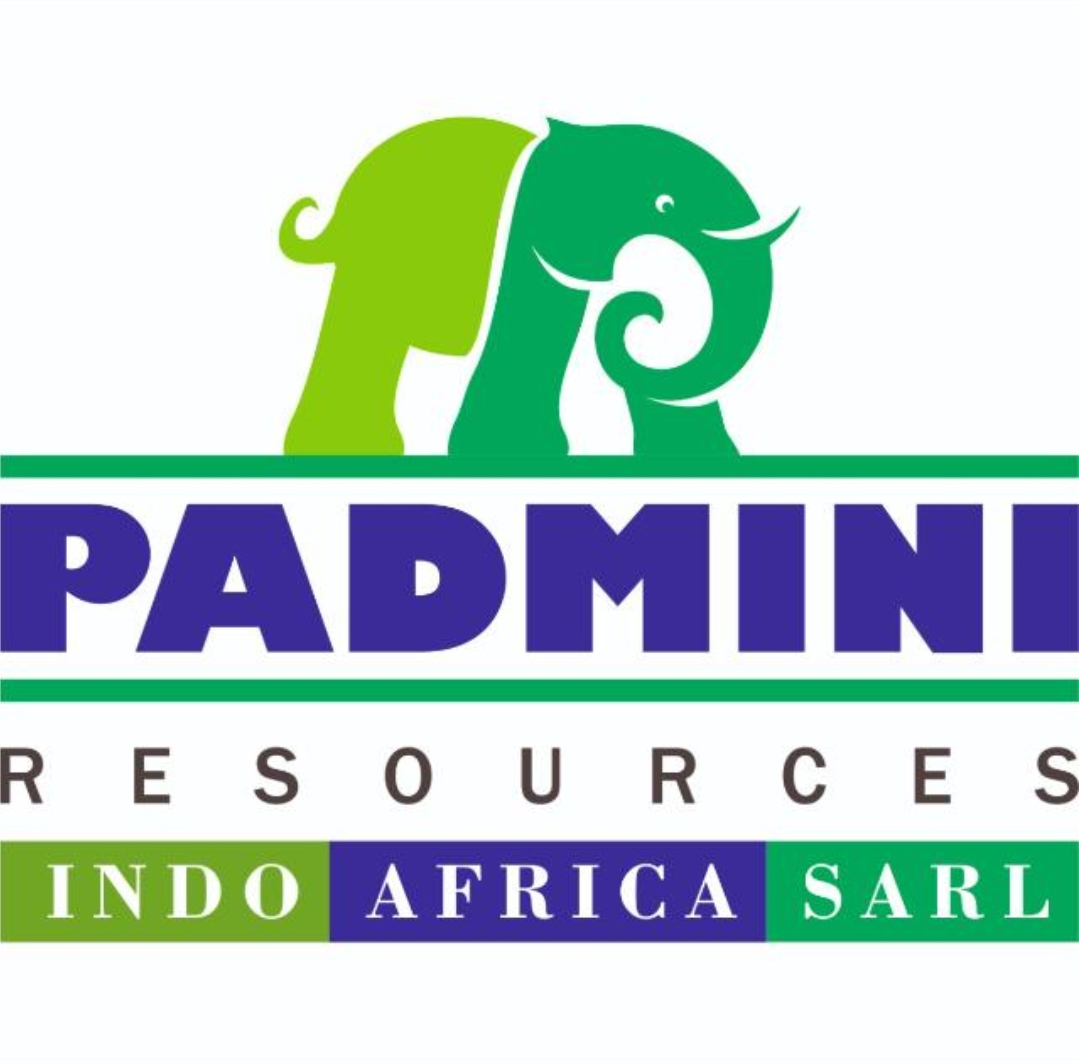 Padmini Resources logo